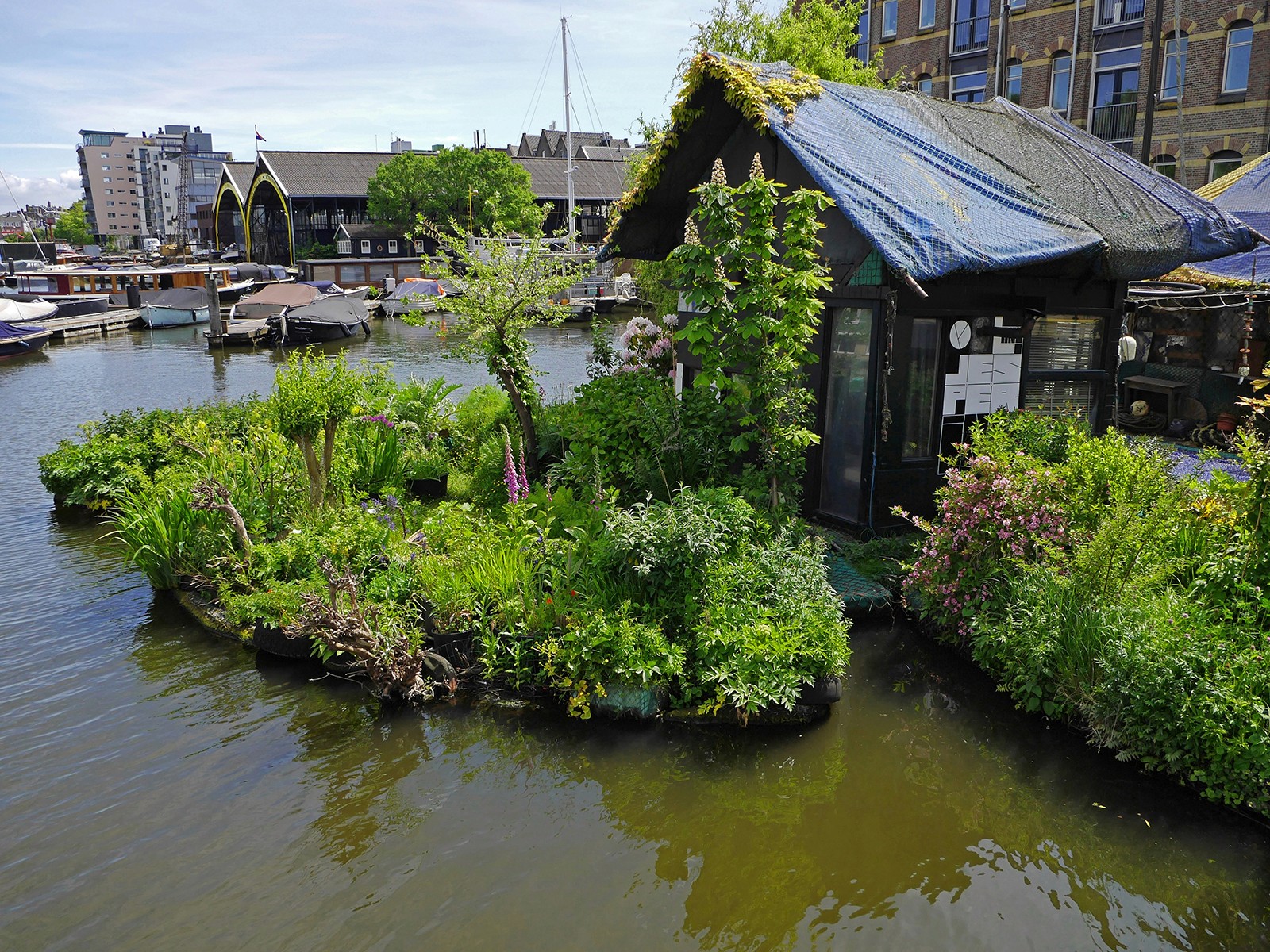 Design Strategies to Bring Back Life: A Blueprint for Increasing Biodiversity in Architecture