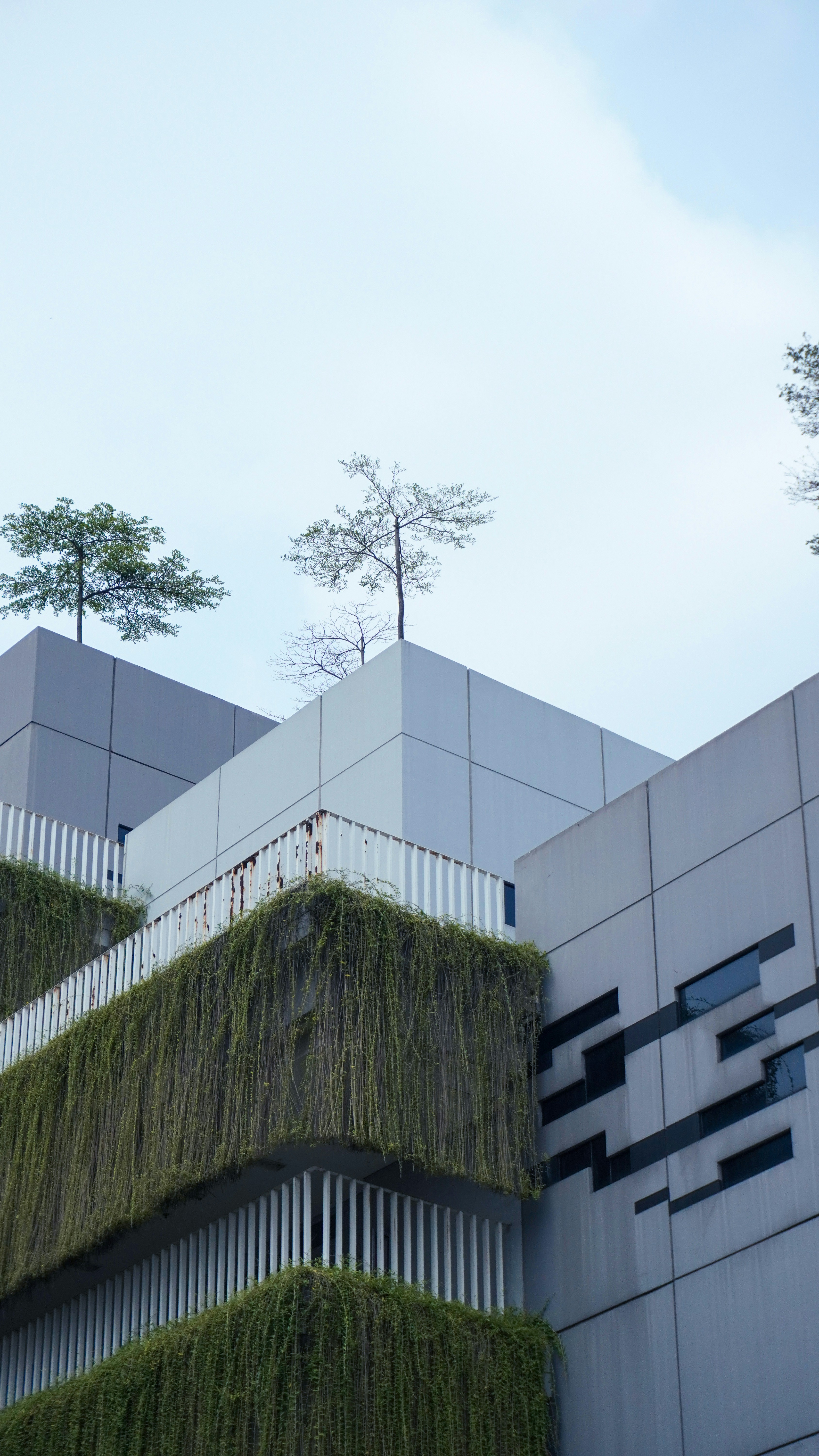 Eco Brutalism: How to Make Concrete Bloom and Buildings Breathe